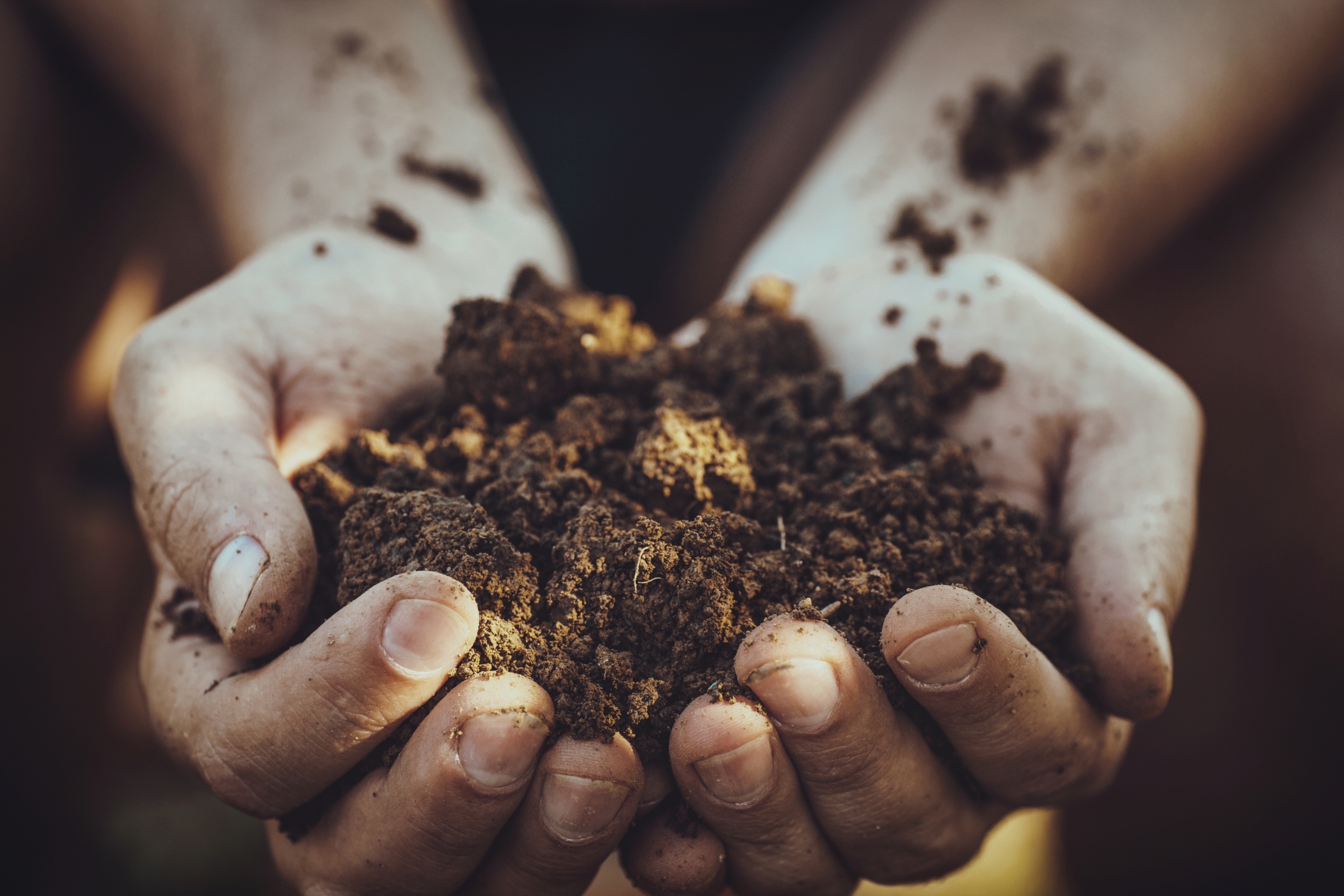 Soil in our Hands