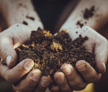 Healthy soils depend on those that are using them.
