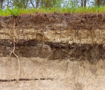 View of a soil profile showing horizons.